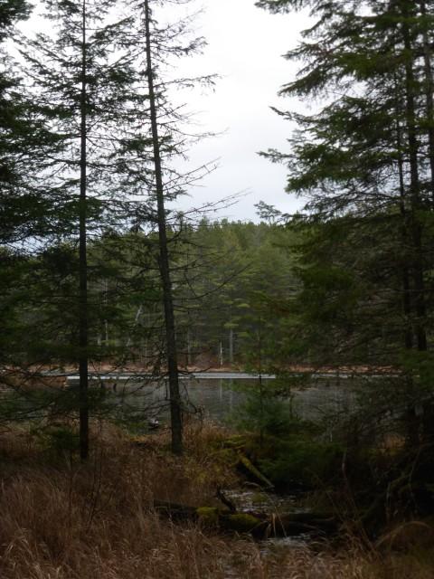 View from the outlet toward the pond.