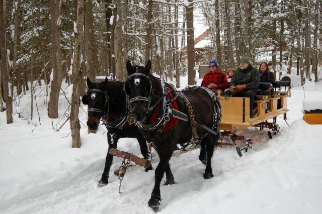 the winter wedding of anyone's dreams with a horse drawn sleigh at the Visitor Interpretive Center