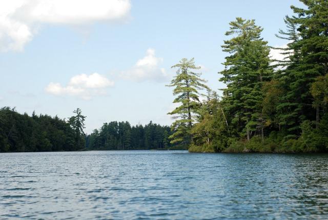 There's plenty of shoreline for exploring at Follensby Clear Pond.