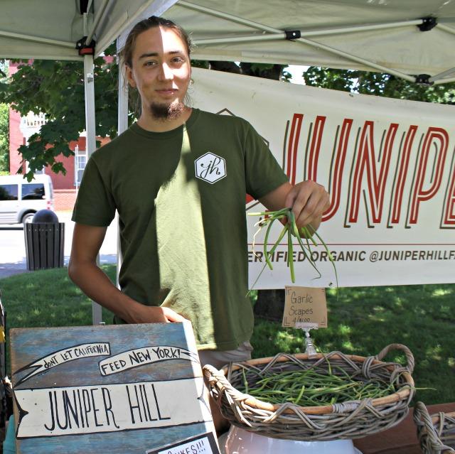 Excellent move, Juniper Hill Guy! That's a rare form of garlic, all right.