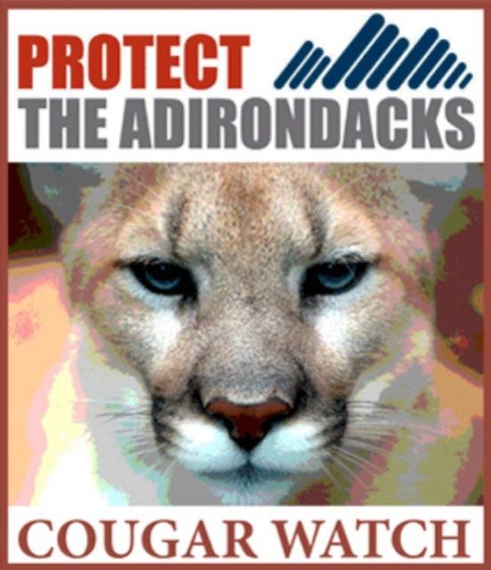 Cougar Watch is a project to record public sightings of cougars in and around the Adirondack Park.