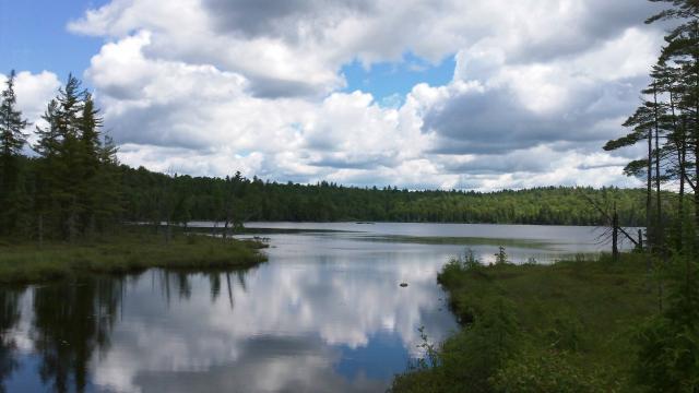 a brake-worthy sight -- the clouds reflected in McCauley Pond