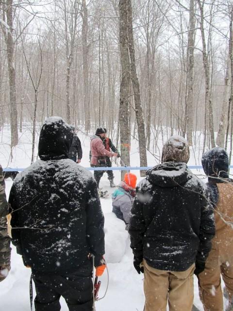 Trees have to be tapped when the sap is running. Here, students watch the process.
