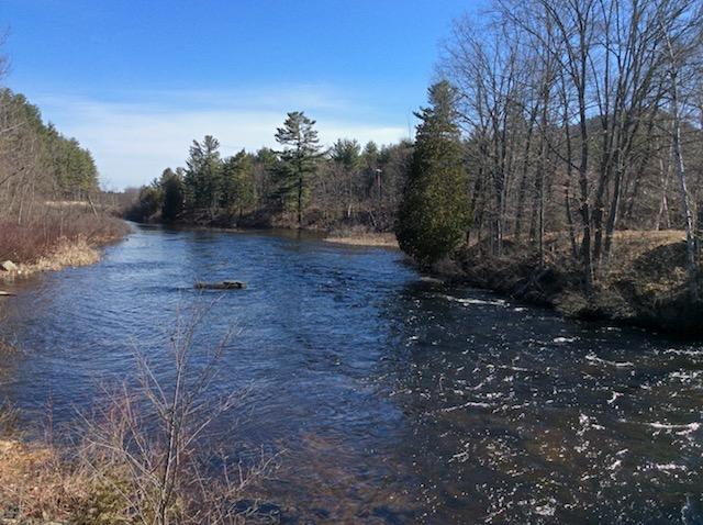The rapid current at this part of the Saranac River offers some fine fishing all the way to Bloomingdale.