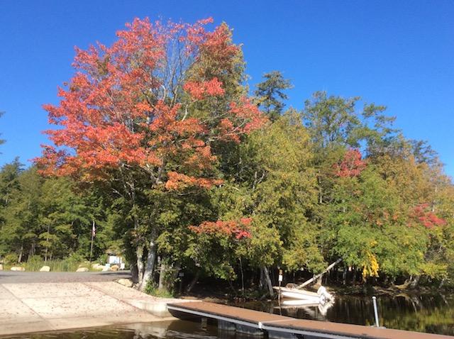 The Second Pond boat launch on Route 30 offers close views of water and leaves.