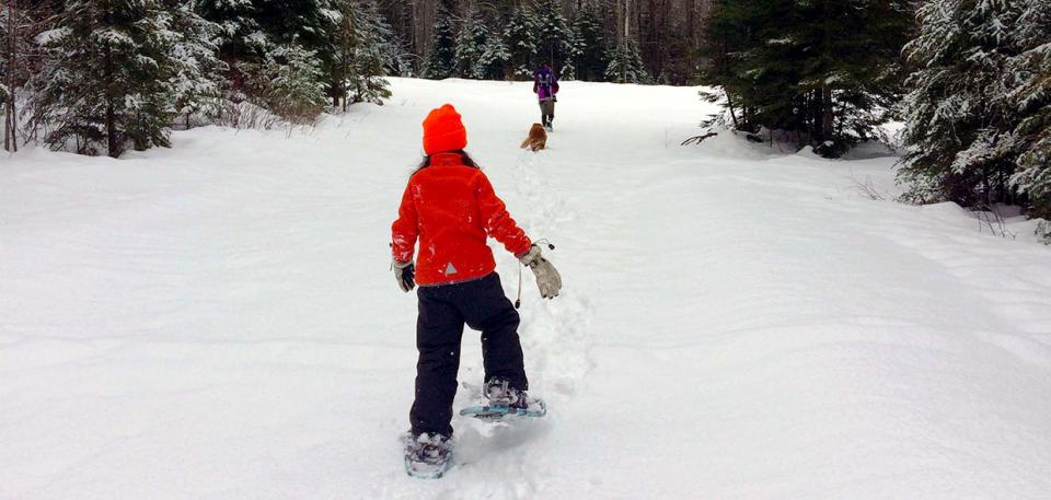 A family snowshoeing.