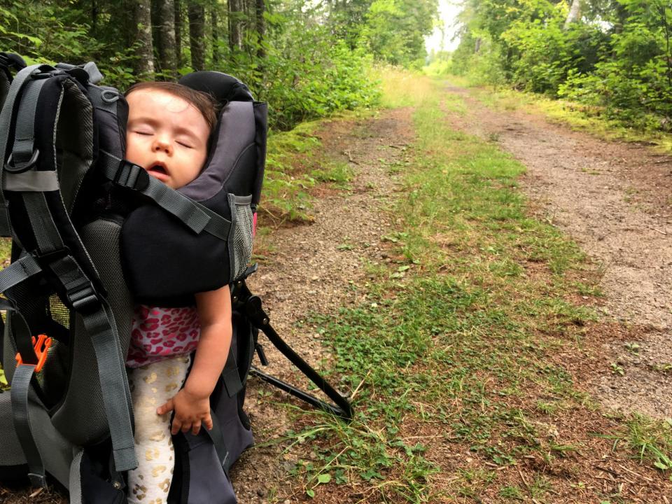 Lucina is not-so-impressed with the Bloomingdale Bog trail.