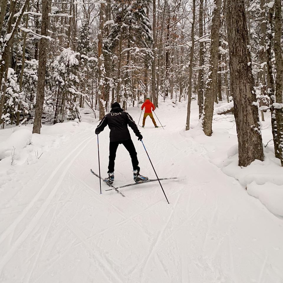 Two cross-country skiers on a trail in daylight.