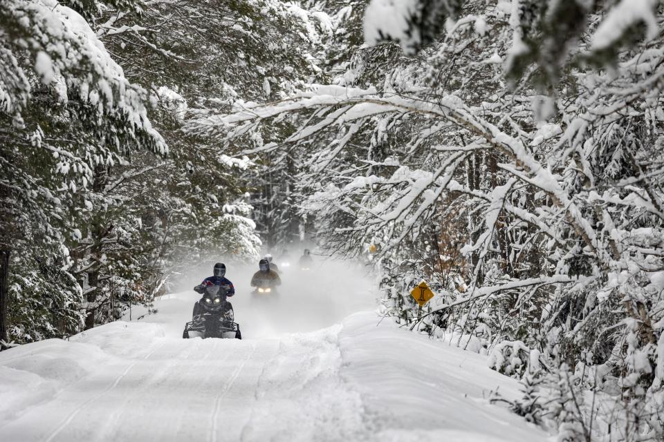 Snowmobilers ride through a snowy forest
