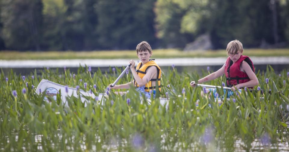 two boys canoeing through purple aquatic flowers