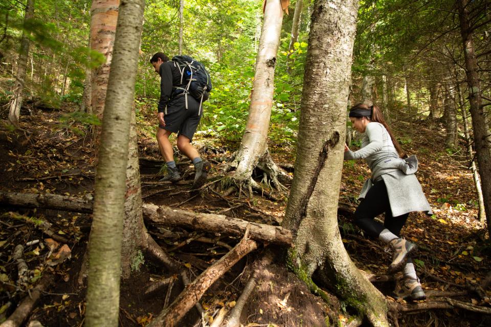 Two hikers make their way up a root-filled trail