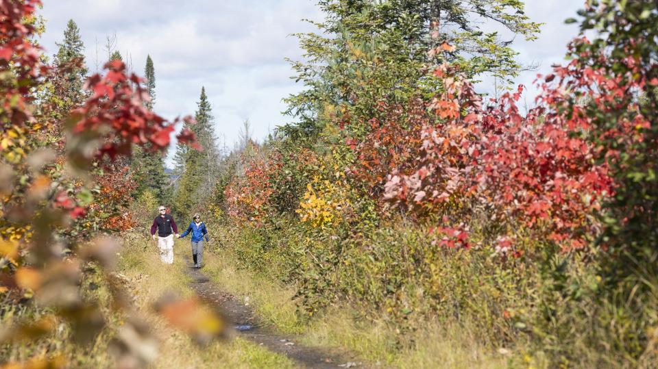 Two people walk a flat trail through fall foliage