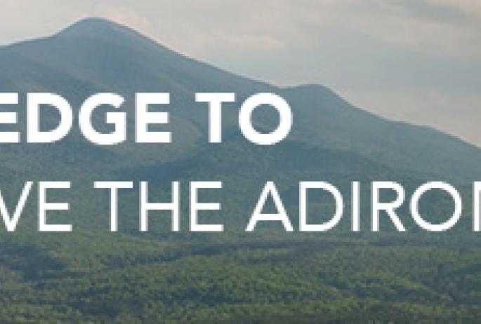 Banner for the Love Your ADK site with woman in purple jacket staring at mountains with the text PLEDGE TO LOVE THE ADIRONDACKS and a button saying "Learn More"