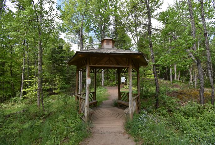 A gazebo surrounded by a green summer forest and blue wildflowers.
