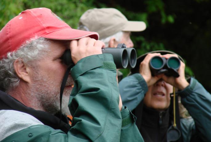 A group of three people searching for birds with binoculars.
