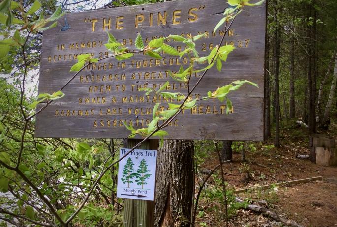 The sign at the start of The Pines trail indicating who the trail is dedicated to.