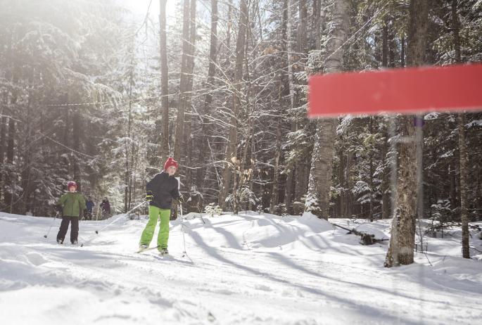 Children cross-country ski on a snowy, sunny wooded trail