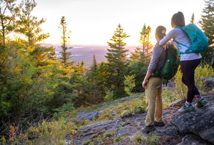 A man and woman stand on a mountain watching the sunset while the trees glow in the sunshine.