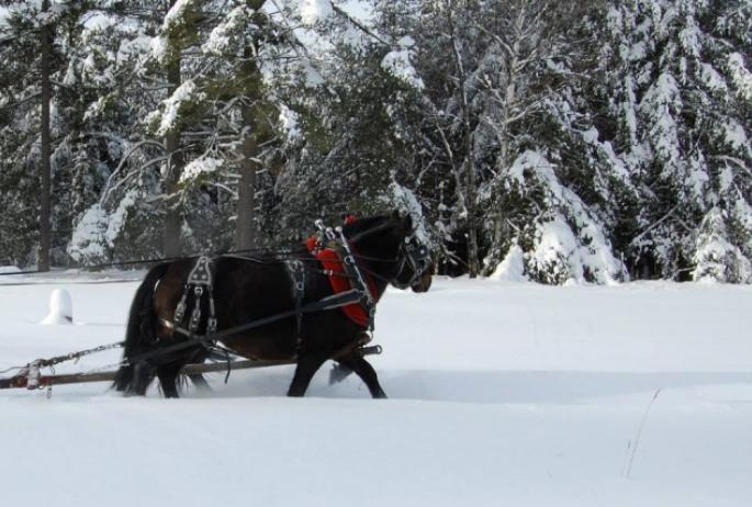 If we have two horses, it's still dashing through the snow!