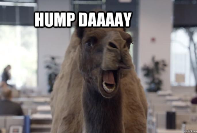 Hump day, y'all.