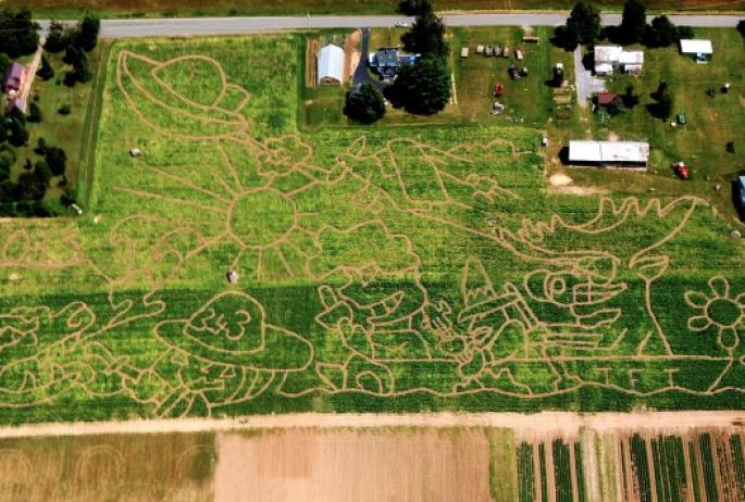 Famous Tucker Farm Corn Maze
