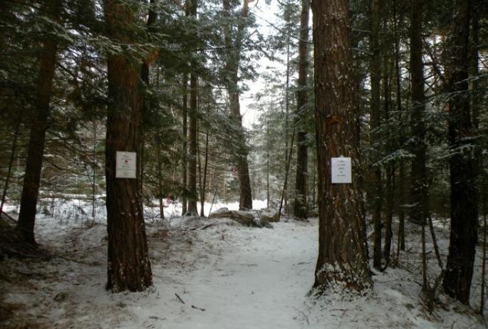 The Jackrabbit Trail can be joined at this Saranac Lake trailhead
