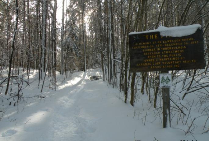 the Pines northern trailhead ends across the road from Moody Pond
