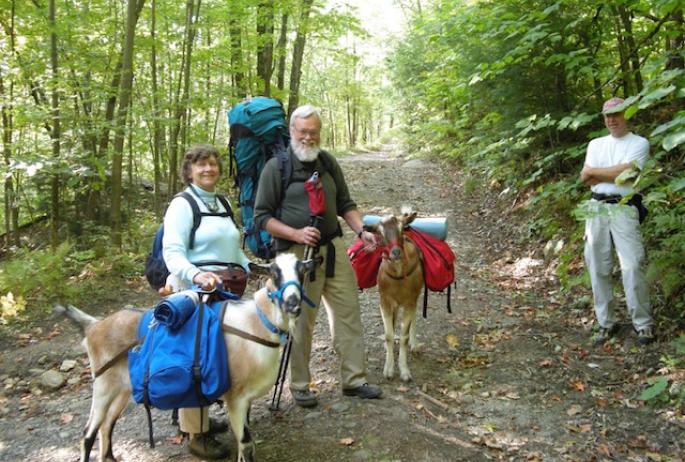 when hiking with goats, everyone wants to meet them!