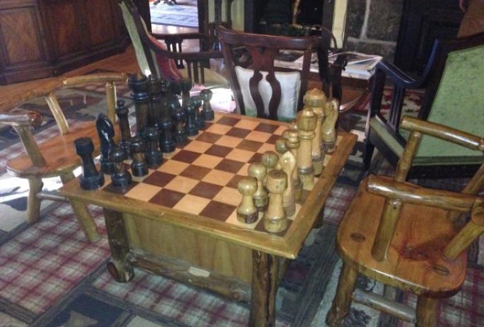 If I knew how to play chess, I would have sat down and played