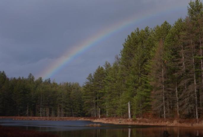 The rainbow over Grassy Pond.