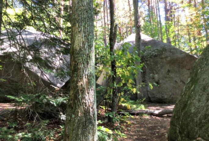 The boulders can be glimpsed through the trees as soon as we approach.