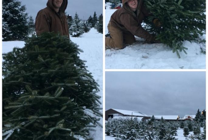 Cutting down our Christmas tree!