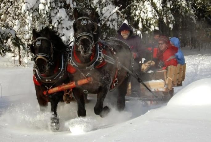 Draft horses hauling people in an old-style sleigh - now we're talking!