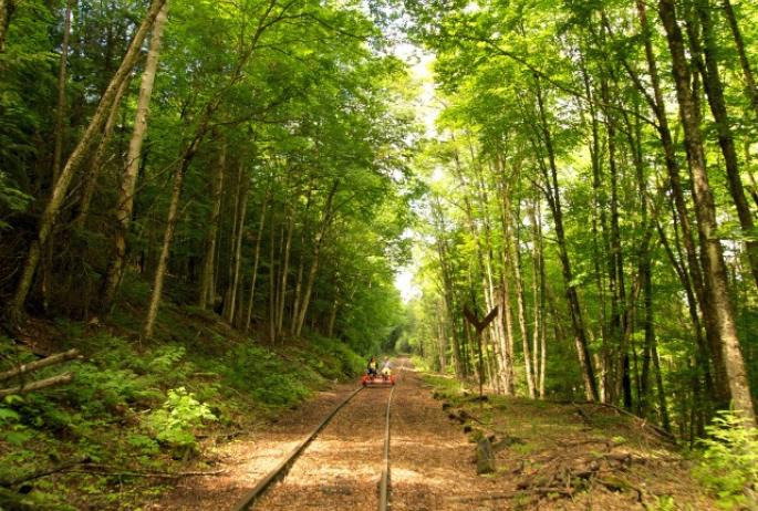 the rails are a sunny stretch of trail in the midst of untouched forest