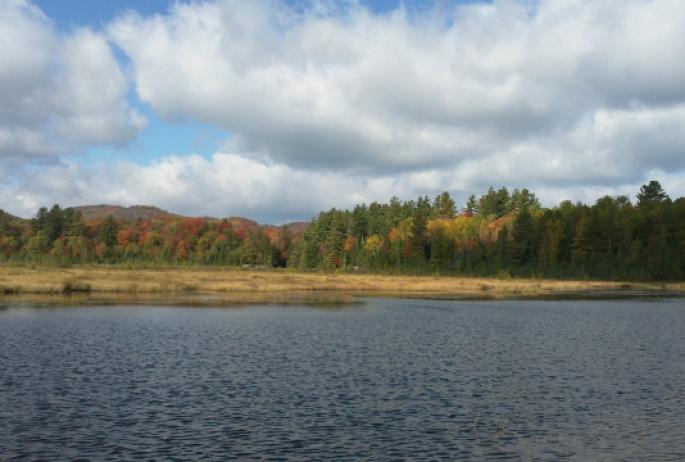 Heron Marsh Trail has pond, bog, and mountain views, with viewing platforms at the most scenic points.