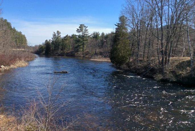 The rapid current at this part of the Saranac River offers some fine fishing all the way to Bloomingdale.
