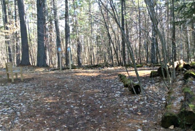 Informative signs and strategic benches make these trails the easiest forest walk imaginable.