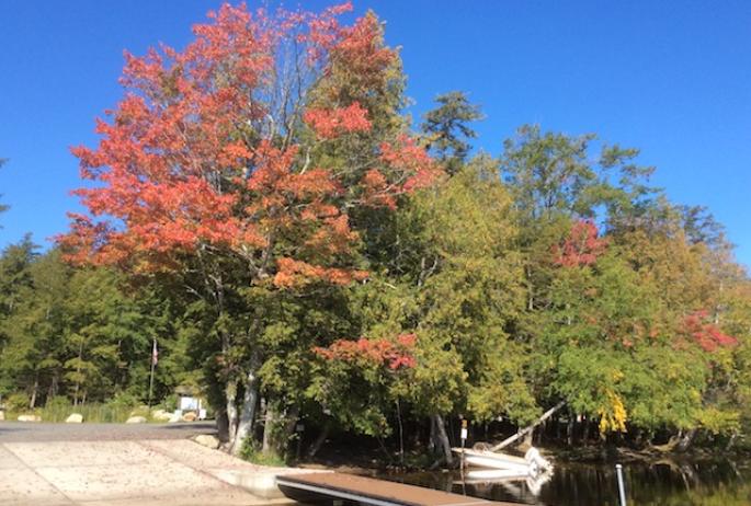 The Second Pond boat launch on Route 30 offers close views of water and leaves.