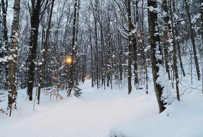 Lights strung in the trees light a ski trail at Dewey Mountain.