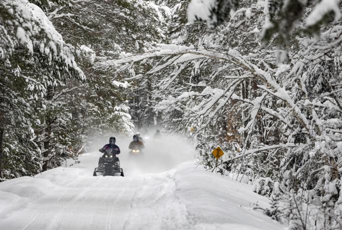 Snowmobilers ride through a snowy forest