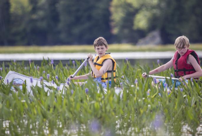 two boys canoeing through purple aquatic flowers