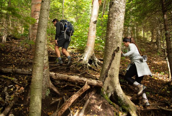 Two hikers make their way up a root-filled trail