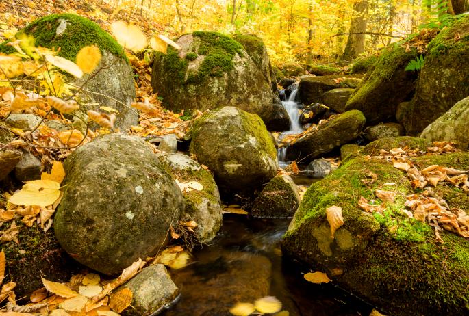 A small stream falls between rocks in autumn.