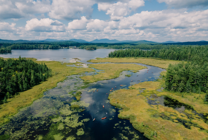 A ton of paddlers on a winding stretch of water.