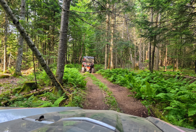 UTV on wooded path surrounded by greenery.