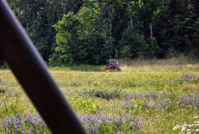 UTV driving through a field of purple wildflowers