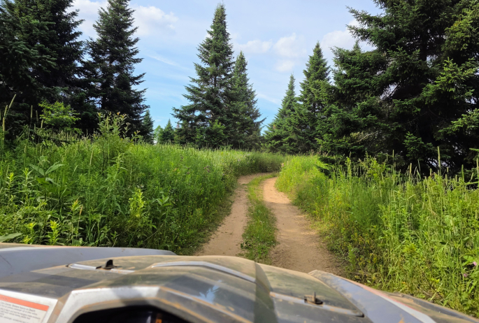 The views from inside a UTV.
