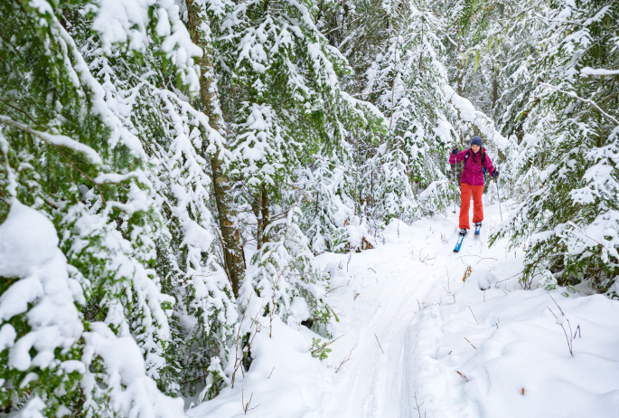 Cross-country skiing in Saranac Lake.