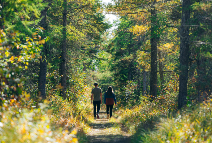 A man and woman walk on a nature trail in fall.