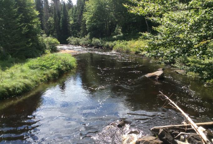 Fishing and hiking at Quebec Brook.